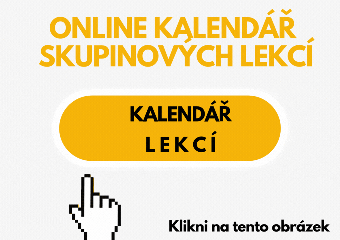 Lekce online